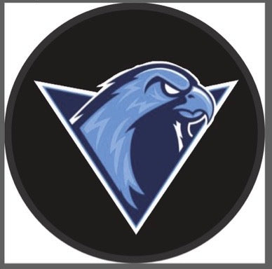 Icehawks Logo Puck
